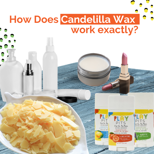 Candelilla Wax: Uncovering the beauty and blemishes behind wild